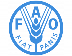 FAO